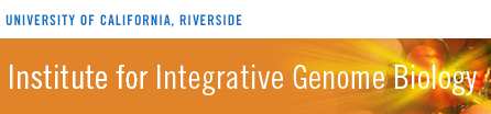 iigb banner